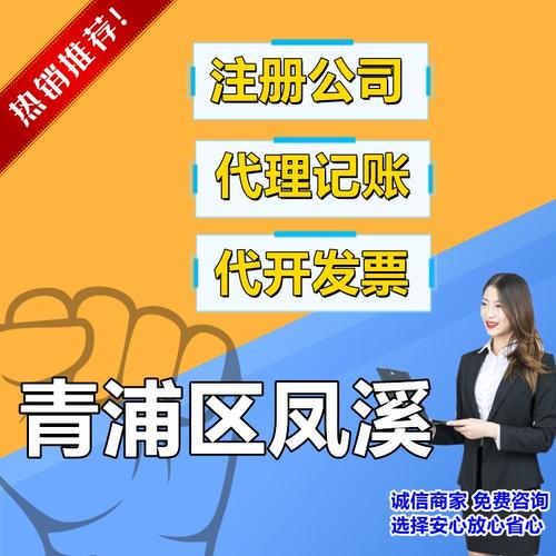 上海秦殄财务咨询